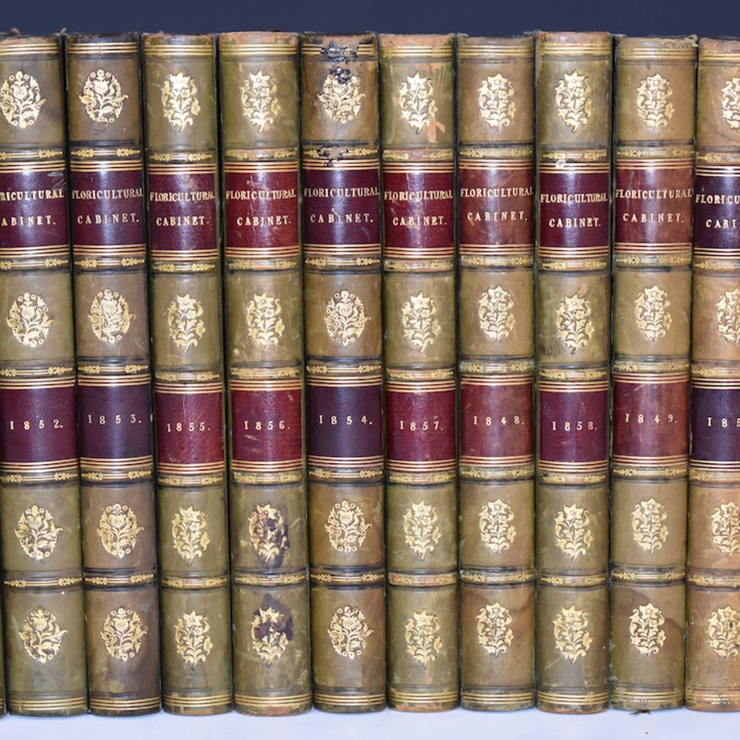 The Floricultural Cabinet, And Florist's Magazine Conducted By Joseph Harrison Published Whittaker Simpkin & Co 1848 1859 Comprising A Run Of 12 Volumes HAMMER £550
