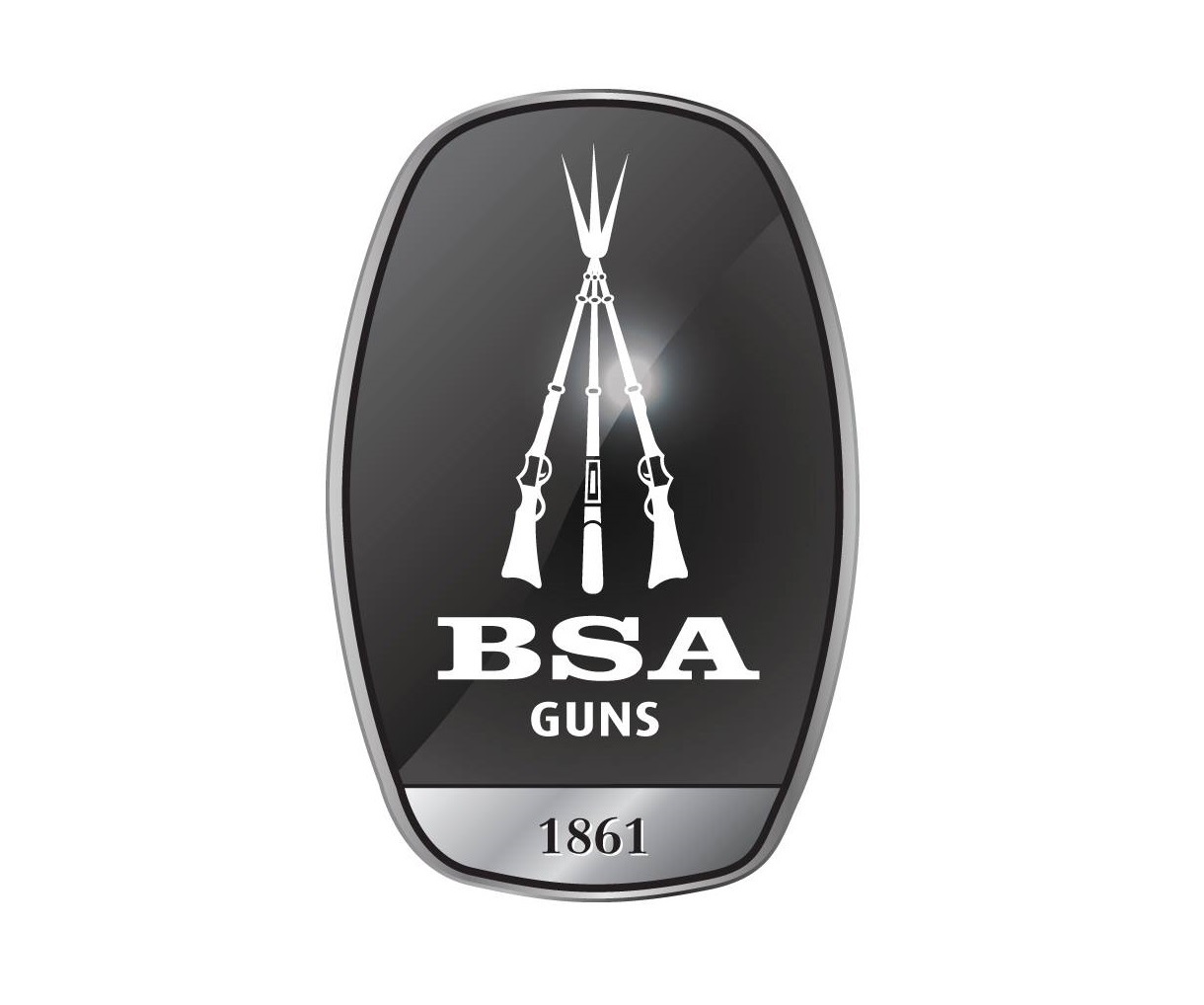 BSA Logo