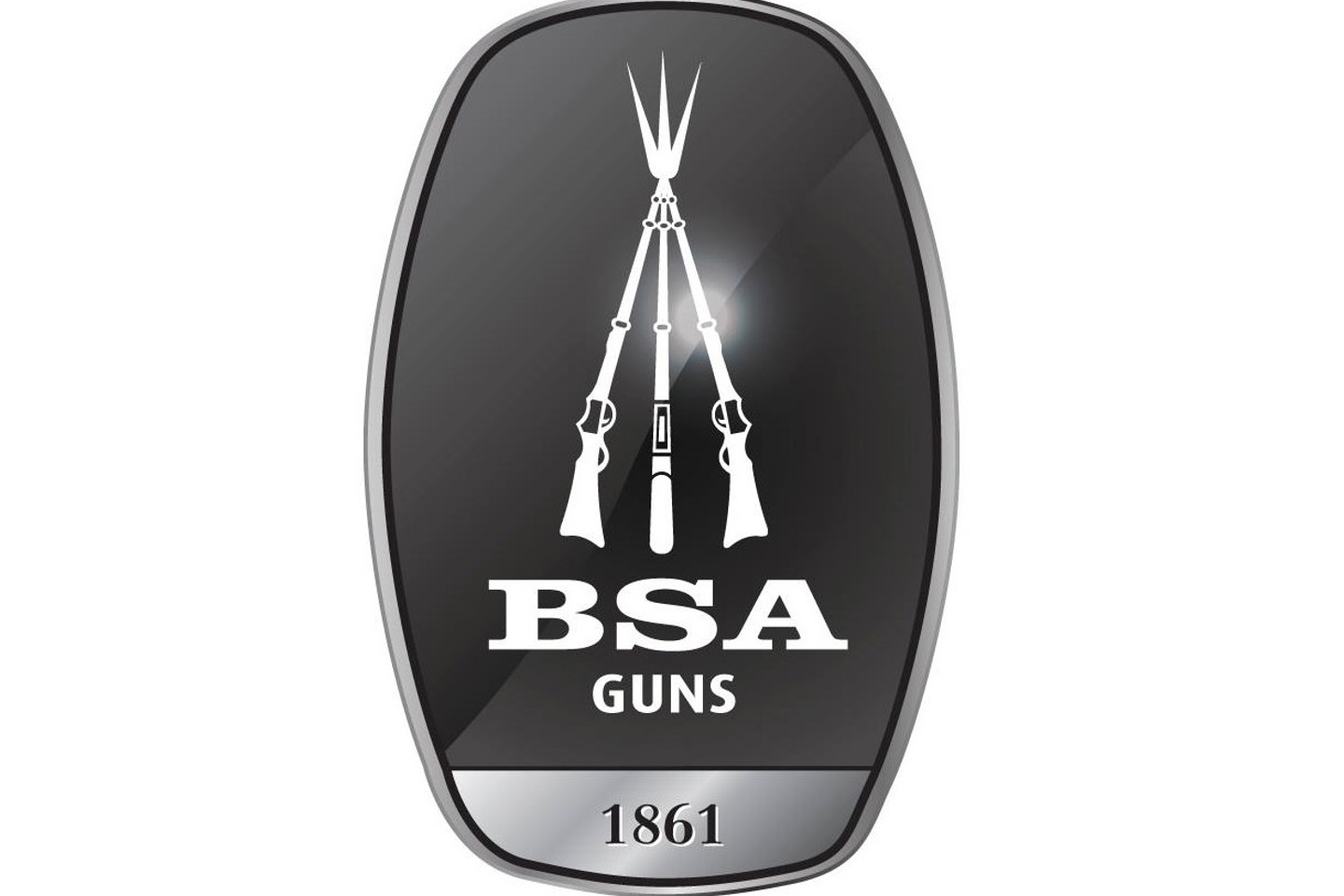BSA Logo