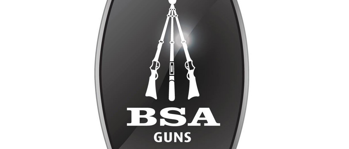 BSA Logo